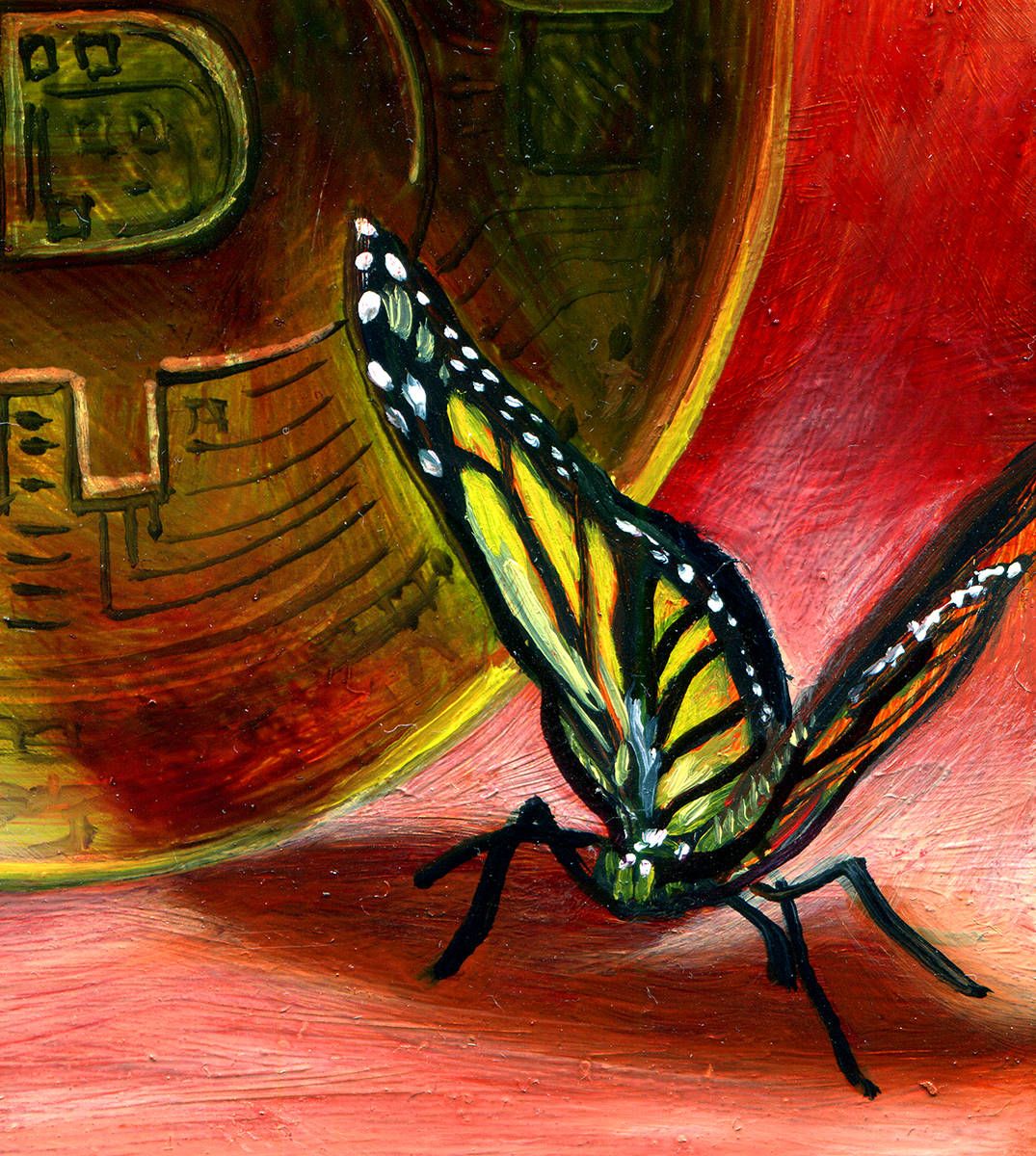 Butterfly Collective view 2