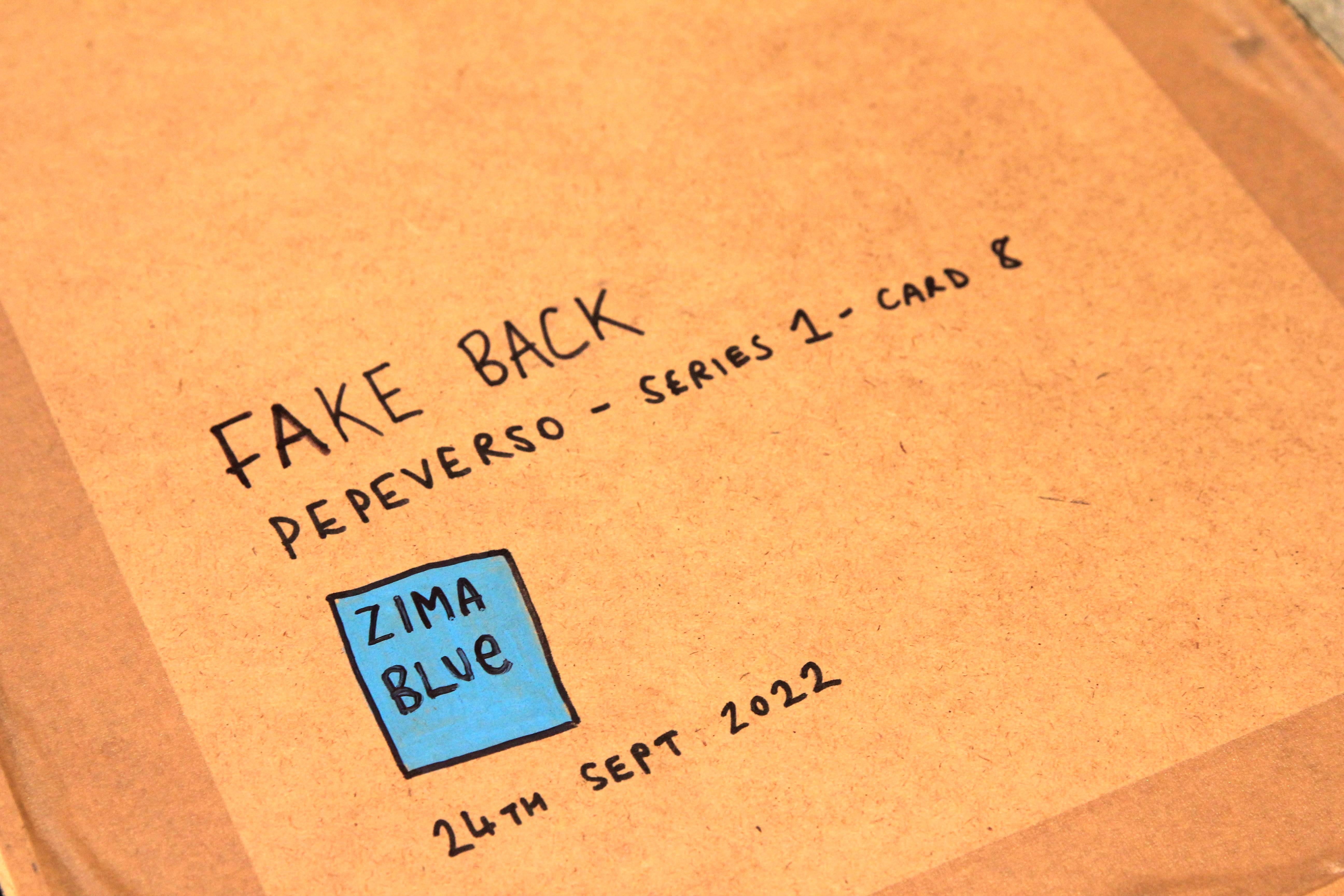 FAKEBACK - Original Artwork view 8