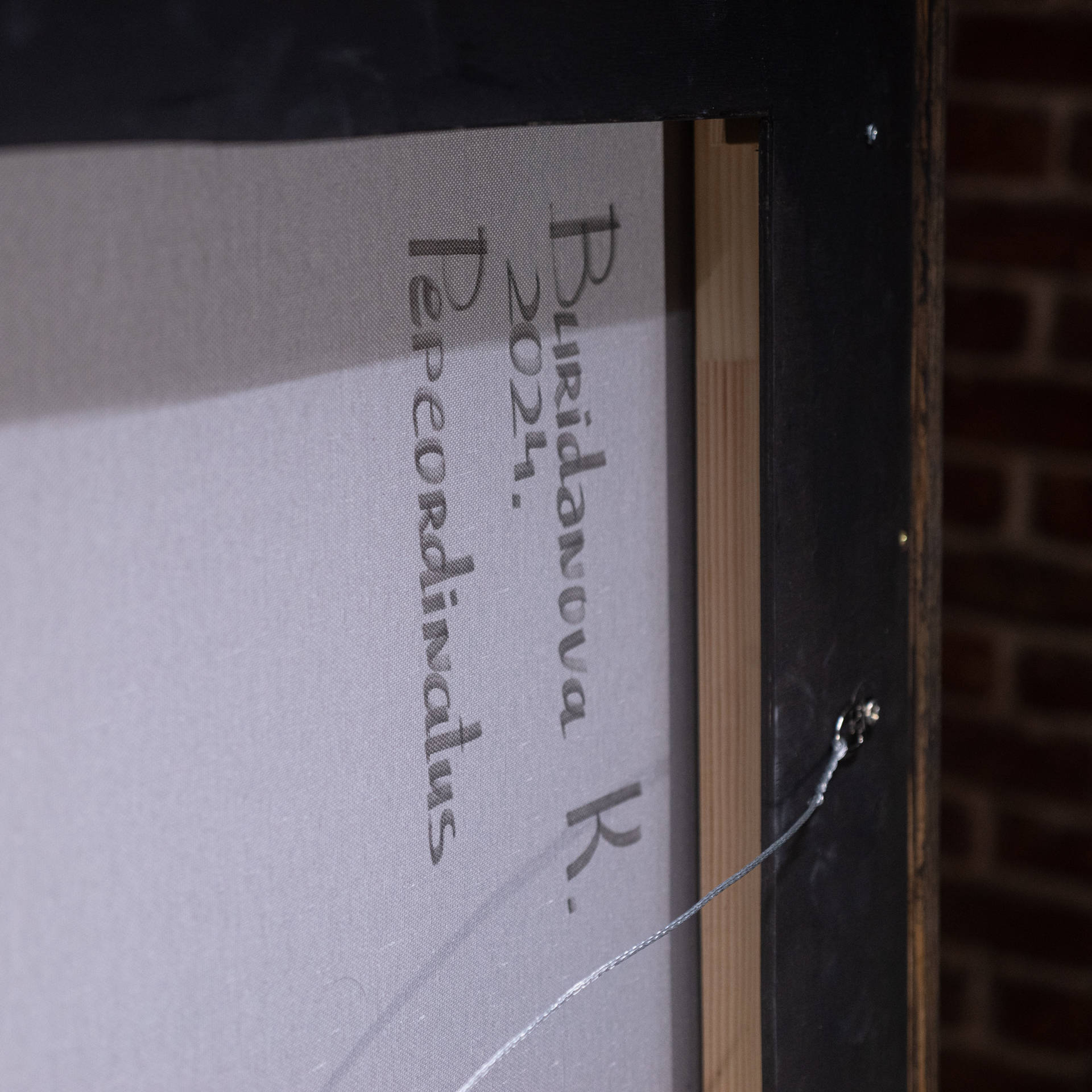 Pepeordinatus view 4